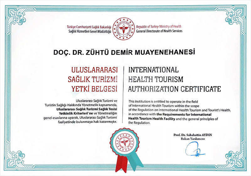 About Assoc. Prof Dr. Zühtü Demir